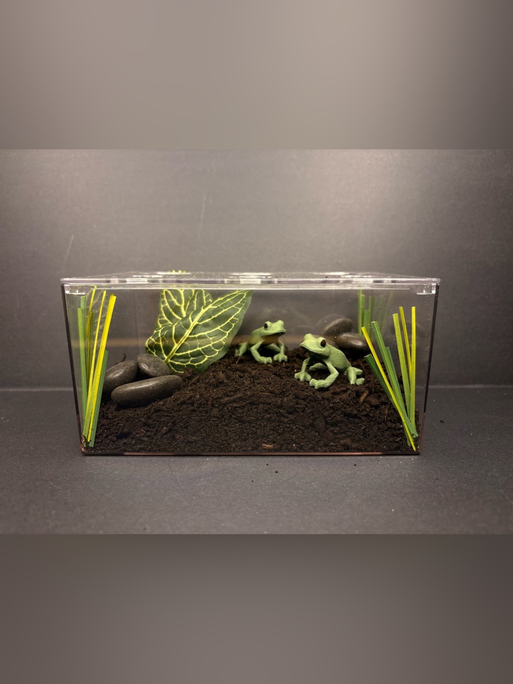 Play pretend pet jumping frogs with terrarium